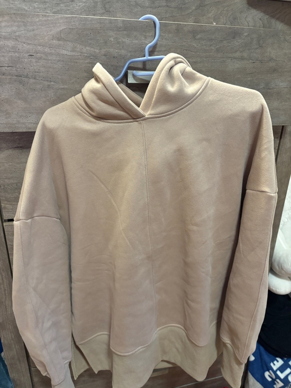 Woman’s Neutral Tan Hooded Sweater